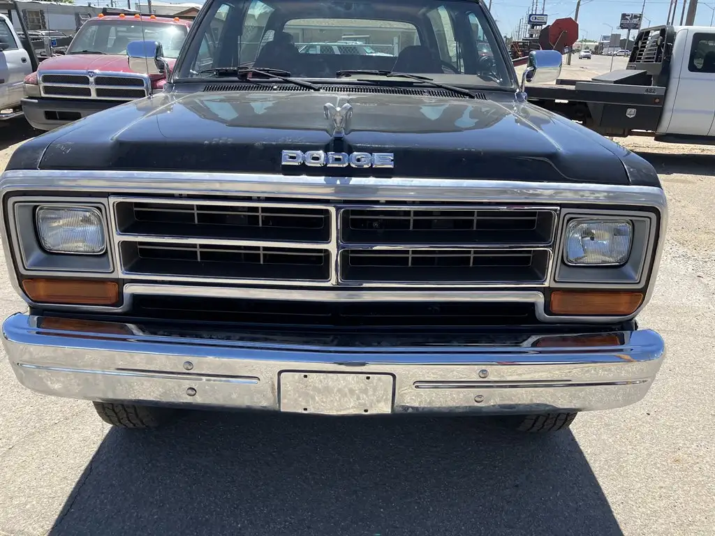 1988 Dodge Ramcharger's photo