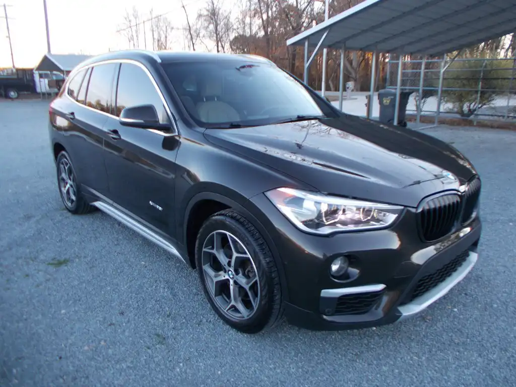 2017 BMW X1 xDrive28i's photo