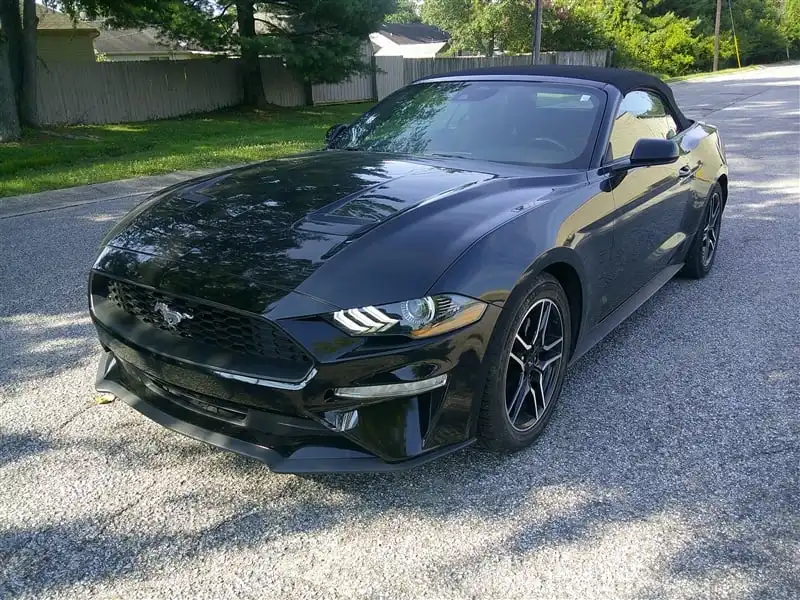 2023 Ford Mustang EcoBoost Premium Convertible's photo