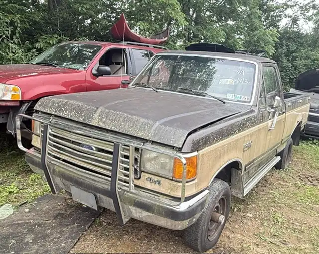 1989 Ford F-150's photo