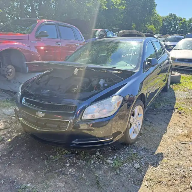 2009 Chevrolet Malibu 1LS's photo