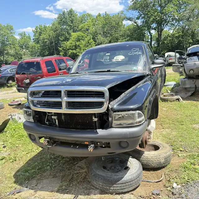 2004 Dodge Dakota 4X4 Regular Cab's photo