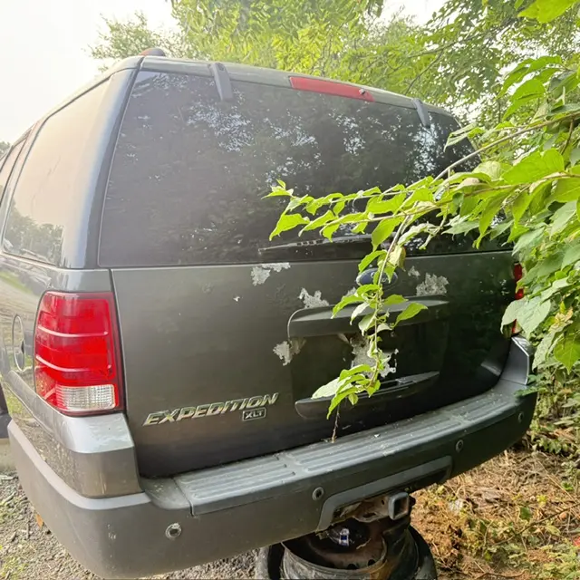 2006 Ford Expedition undefined photo 3