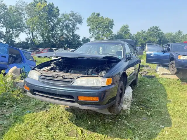 1994 Honda Accord's photo