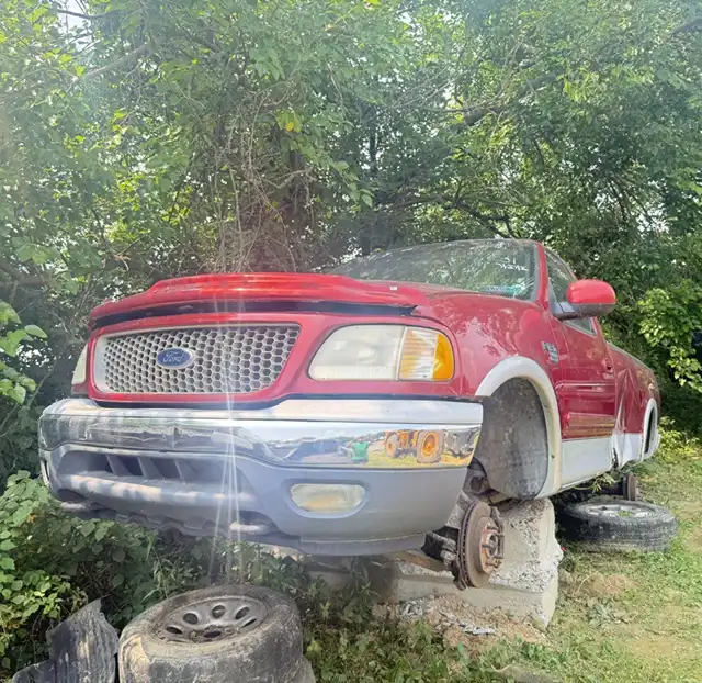 2001 Ford F-150's photo