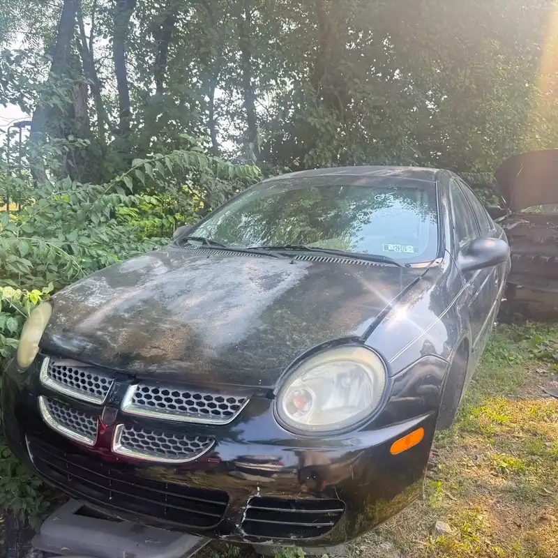 2005 Dodge Neon SXT's photo