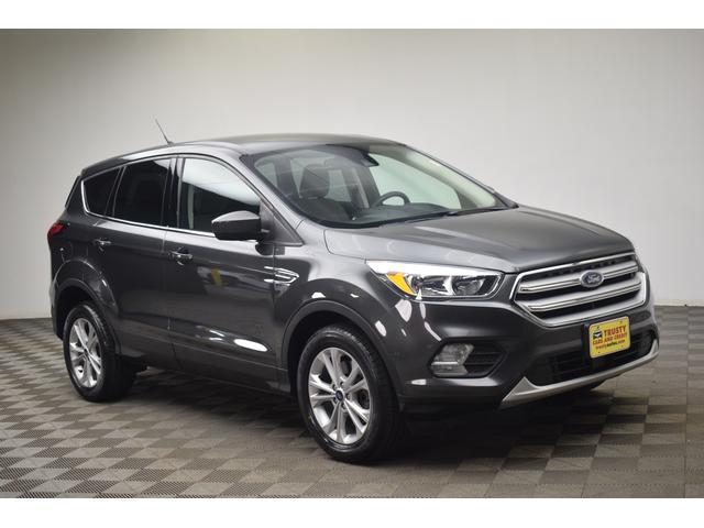 2019 Ford Escape SE 4WD's photo