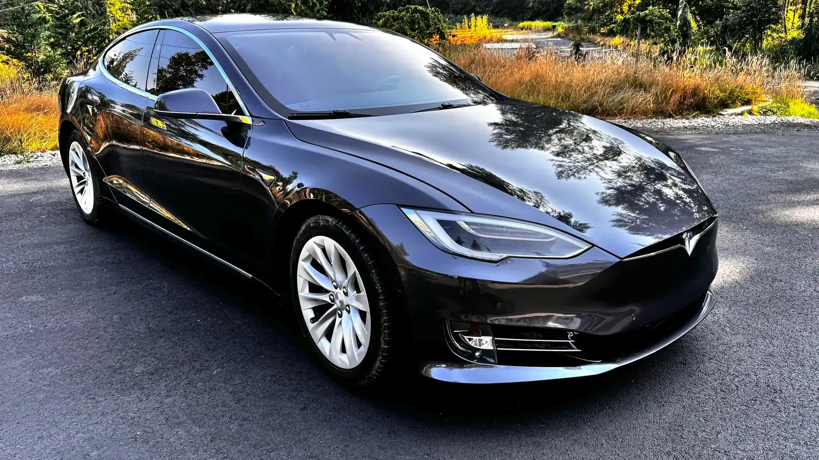 2017 Tesla Model S 75D's photo