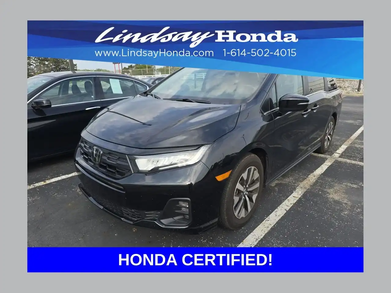 2025 Honda Odyssey EX-L's photo