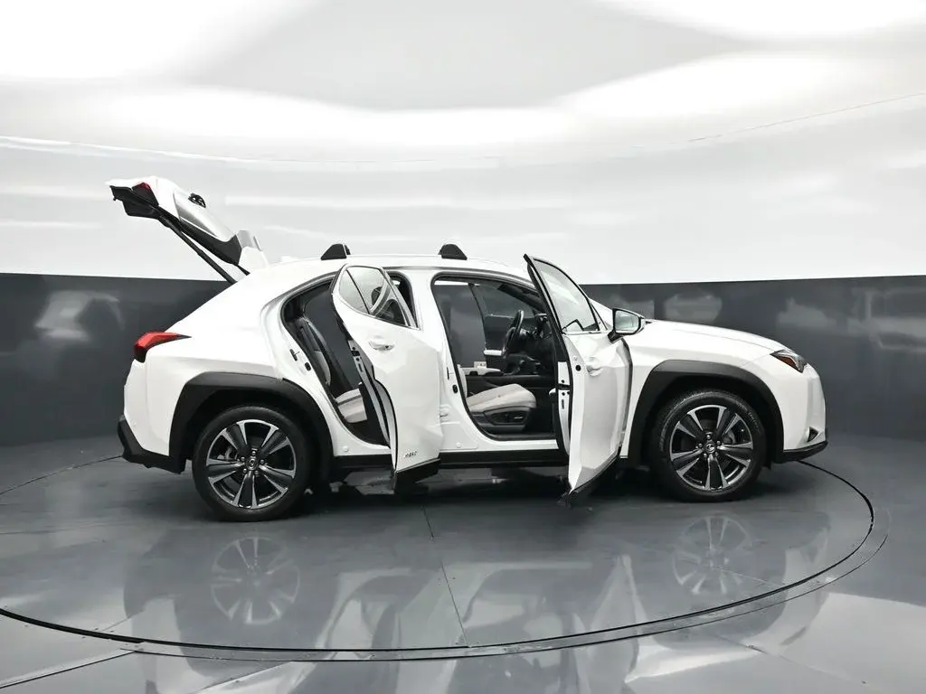 2020 Lexus UX 300h 250h AWD photo 4