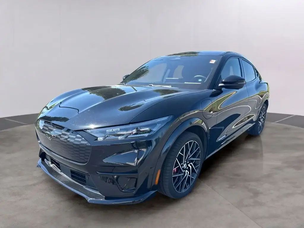 2022 Ford Mustang-Mach-e GT photo 1