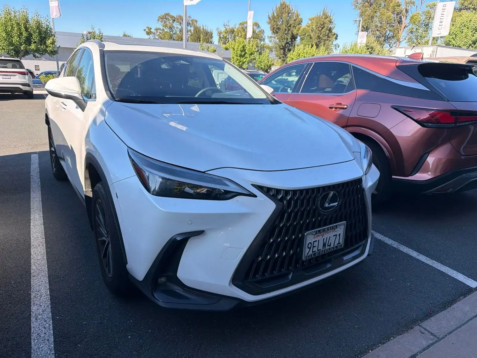 2025 Lexus NX 350h 350h AWD's photo
