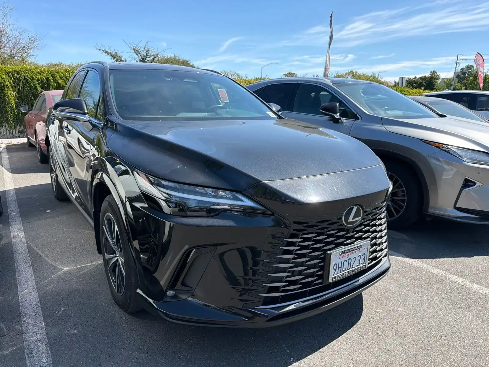 2023 Lexus RX 350h 350h Premium AWD's photo