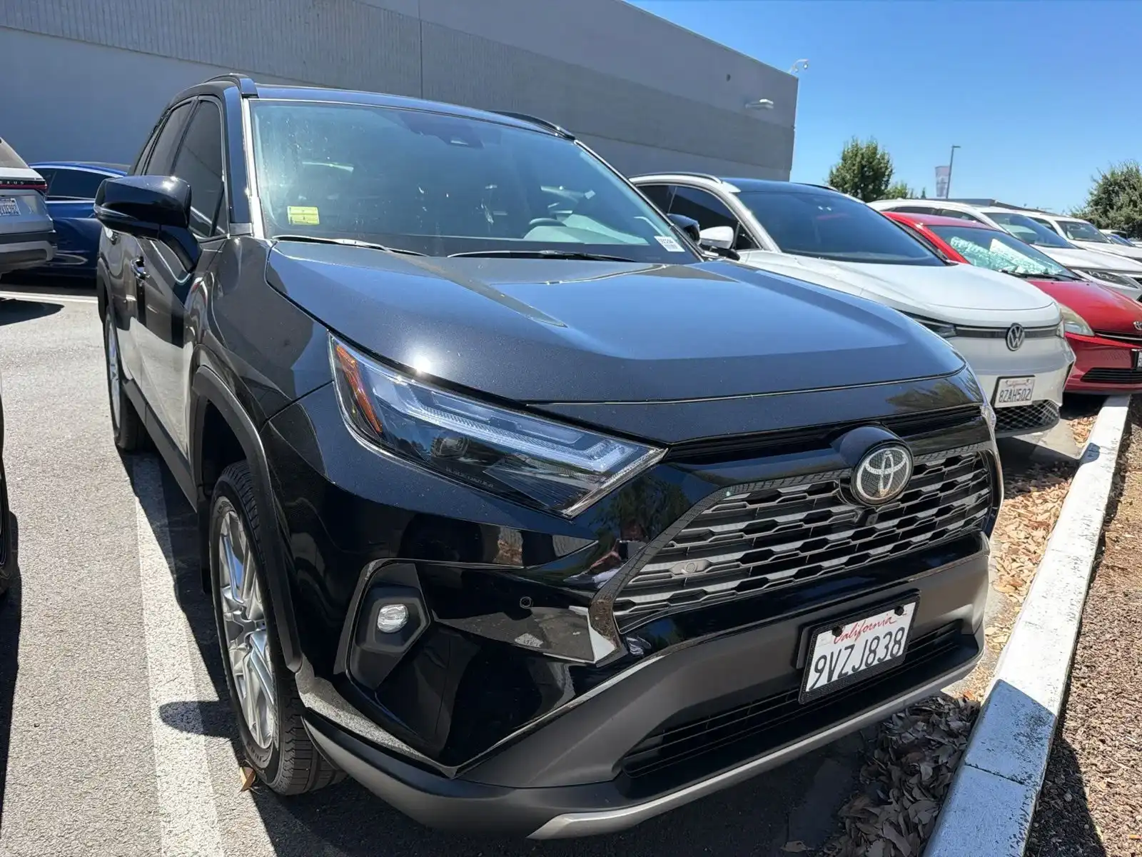 2025 Toyota RAV4 Limited AWD's photo