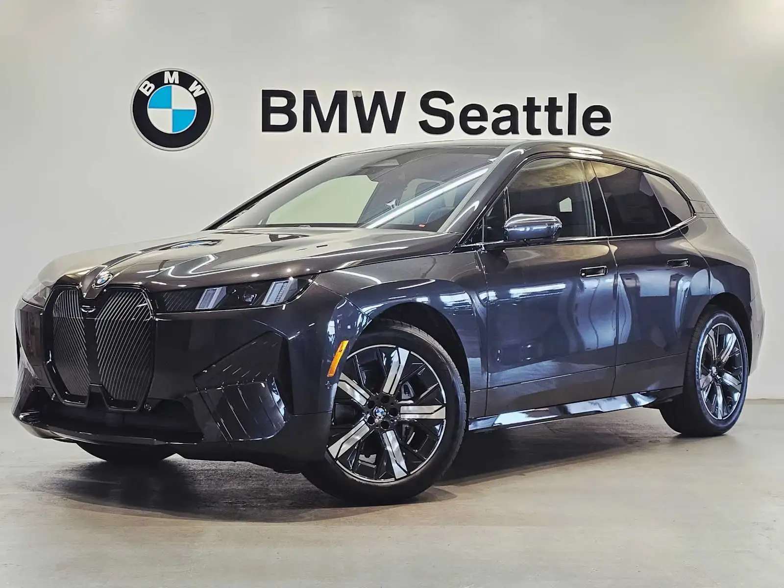 2026 BMW iX xDrive45's photo