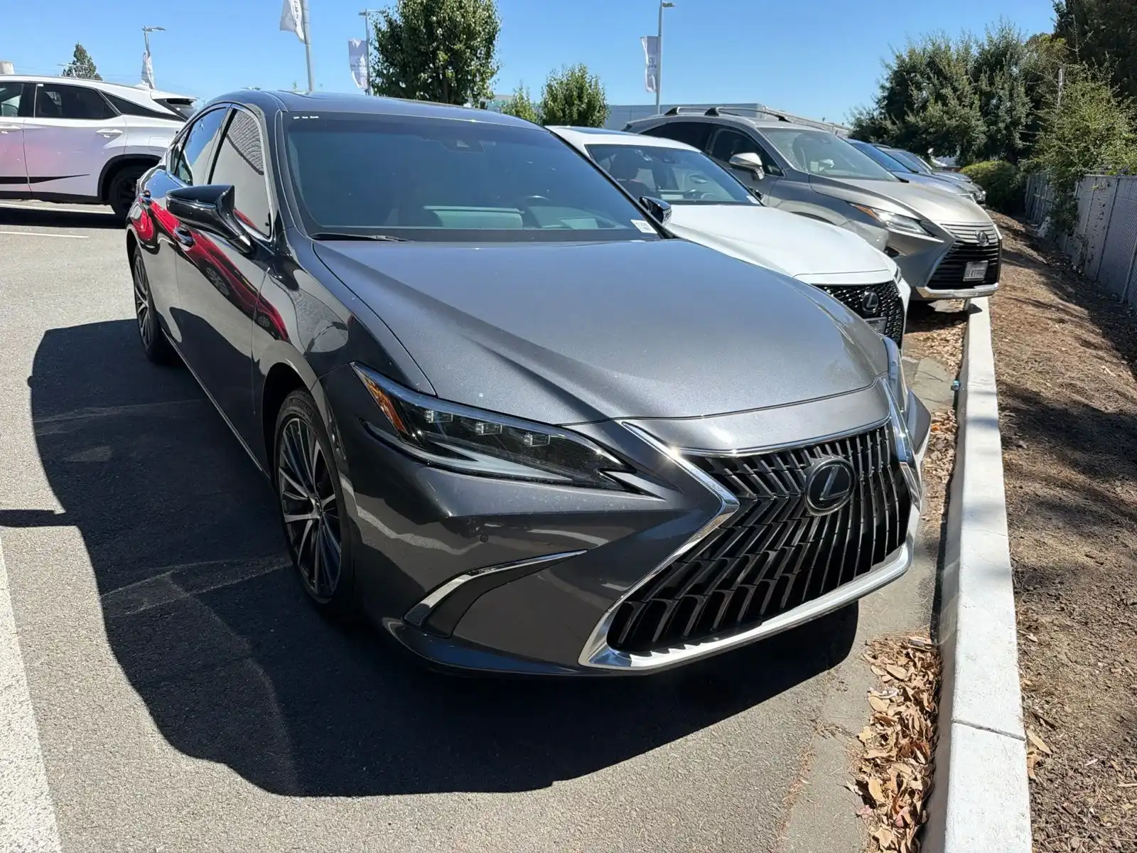 2025 Lexus ES 300h 300h's photo