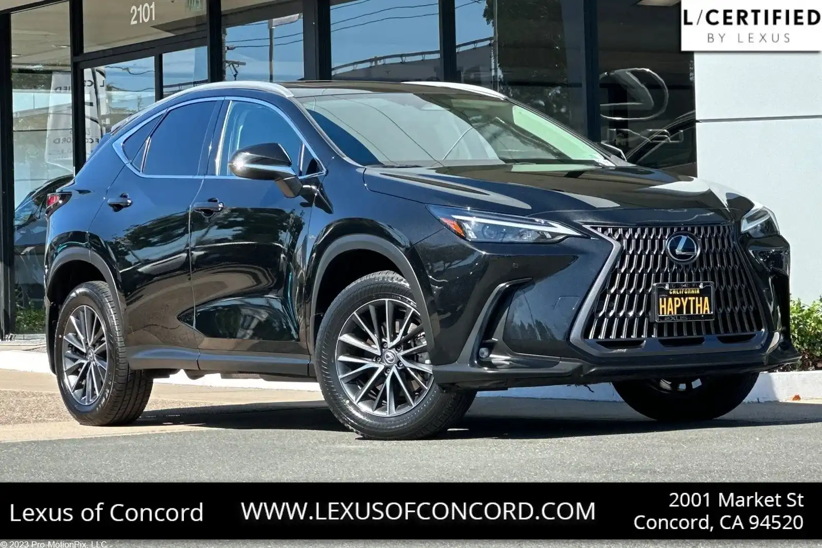 2024 Lexus NX 350h 350h Premium AWD's photo