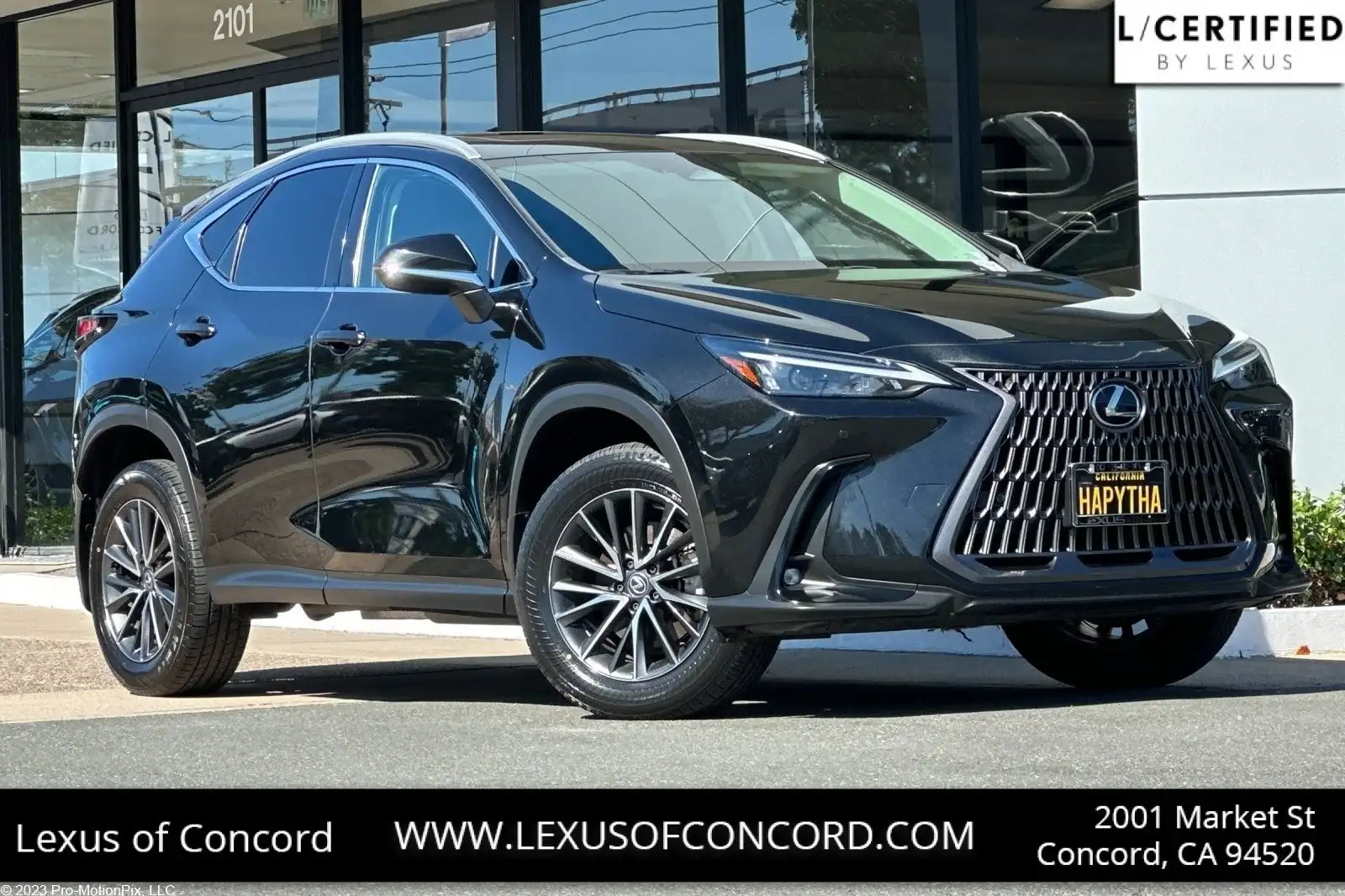 2024 Lexus NX 350h 350h Premium AWD's photo