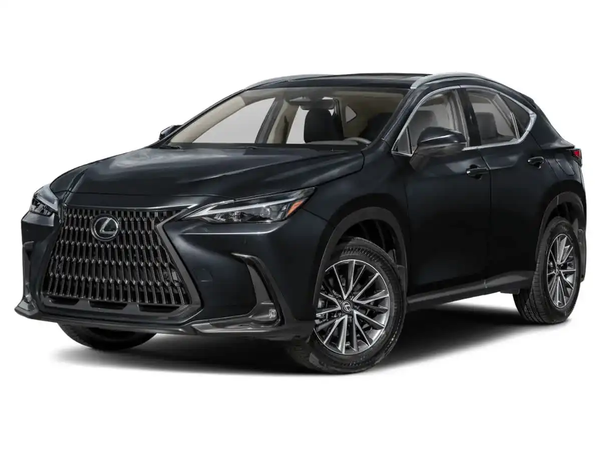 2024 Lexus NX 350 350 AWD's photo