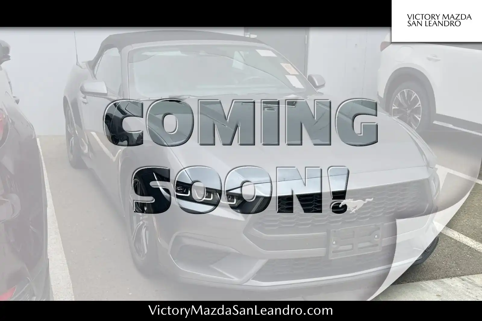 2025 Ford Mustang EcoBoost Premium Convertible's photo
