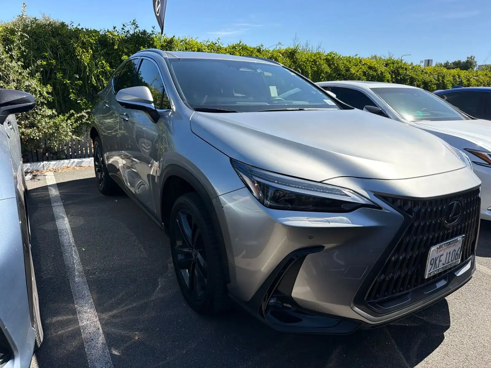 2024 Lexus NX 450h+ 450+ Luxury AWD's photo