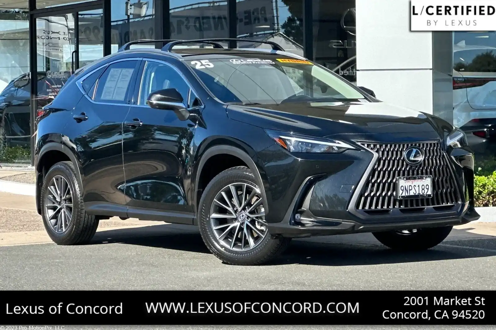 2025 Lexus NX 350h 350h Premium AWD's photo