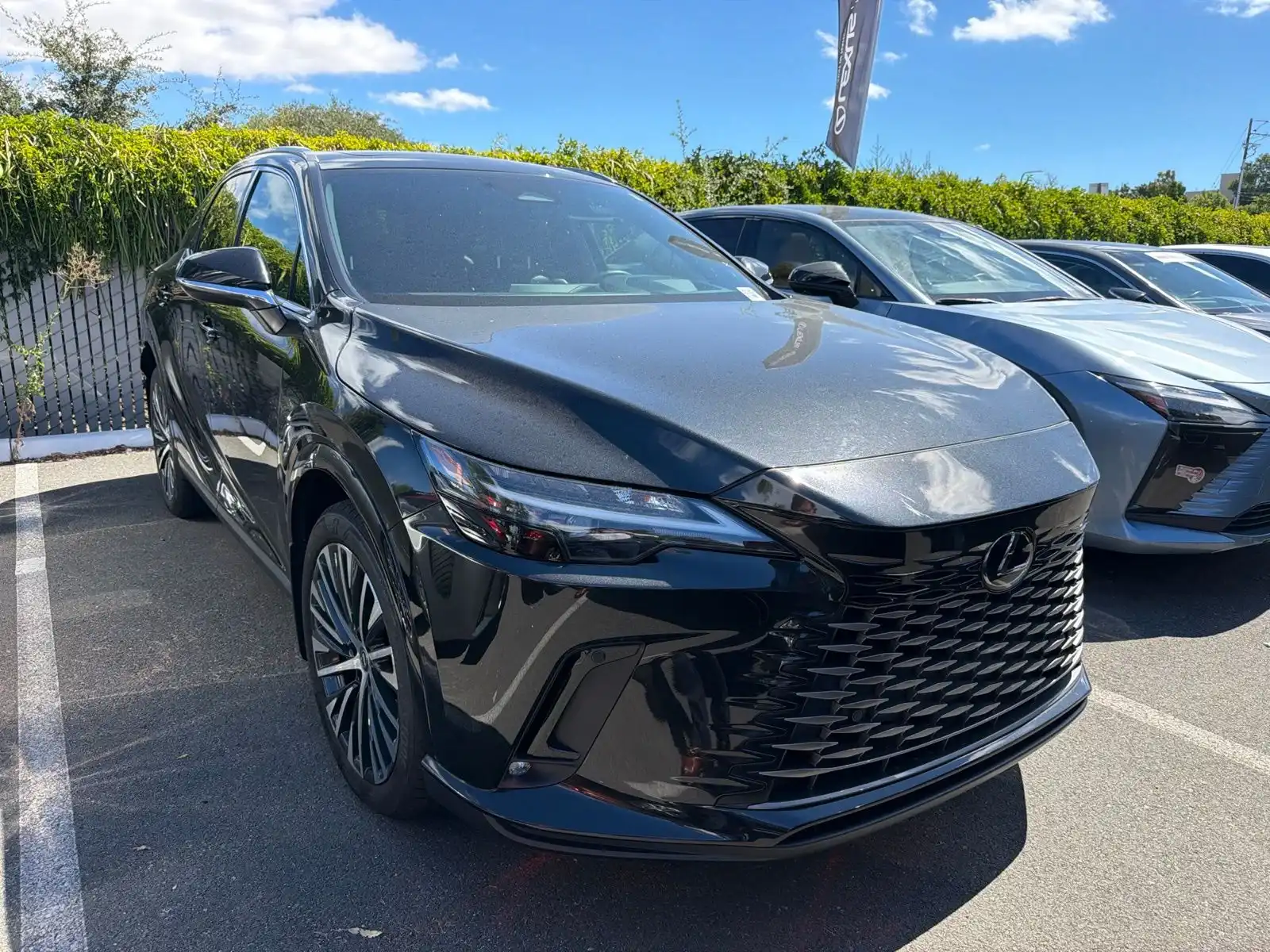 2023 Lexus RX 350h 350h Premium Plus AWD's photo