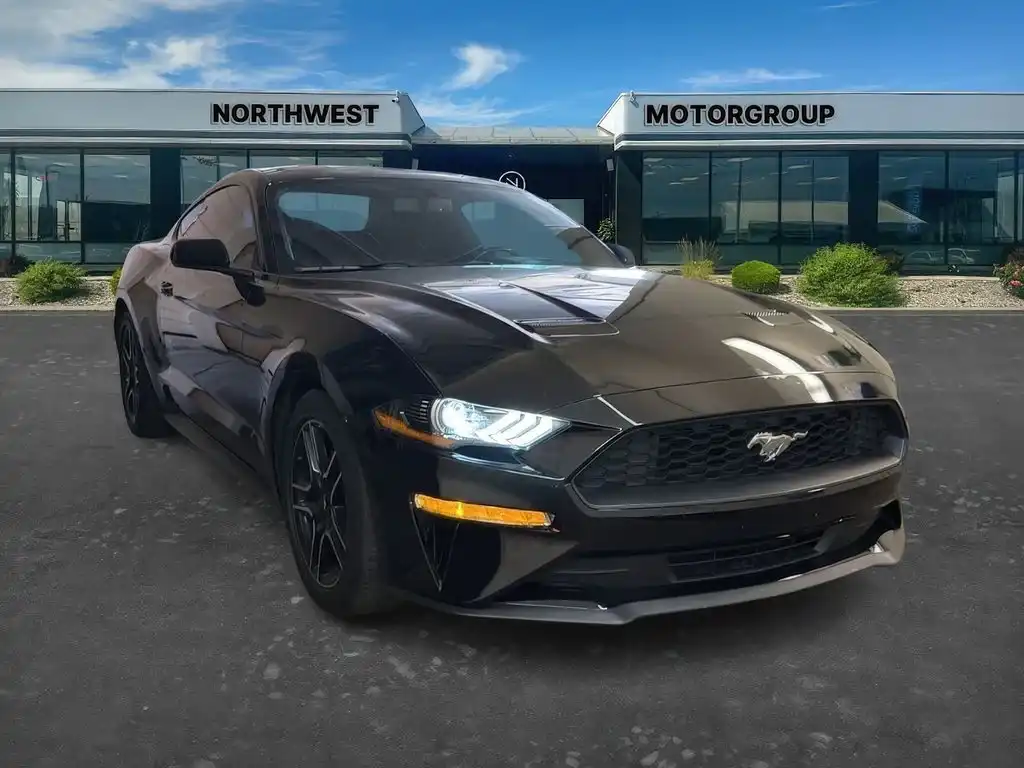 2018 Ford Mustang EcoBoost Coupe's photo