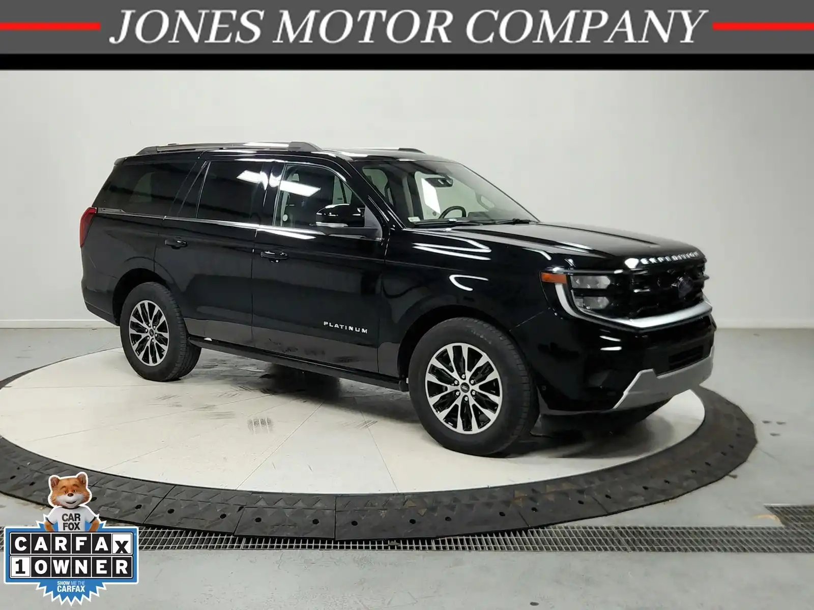2025 Ford Expedition Platinum 4x4's photo