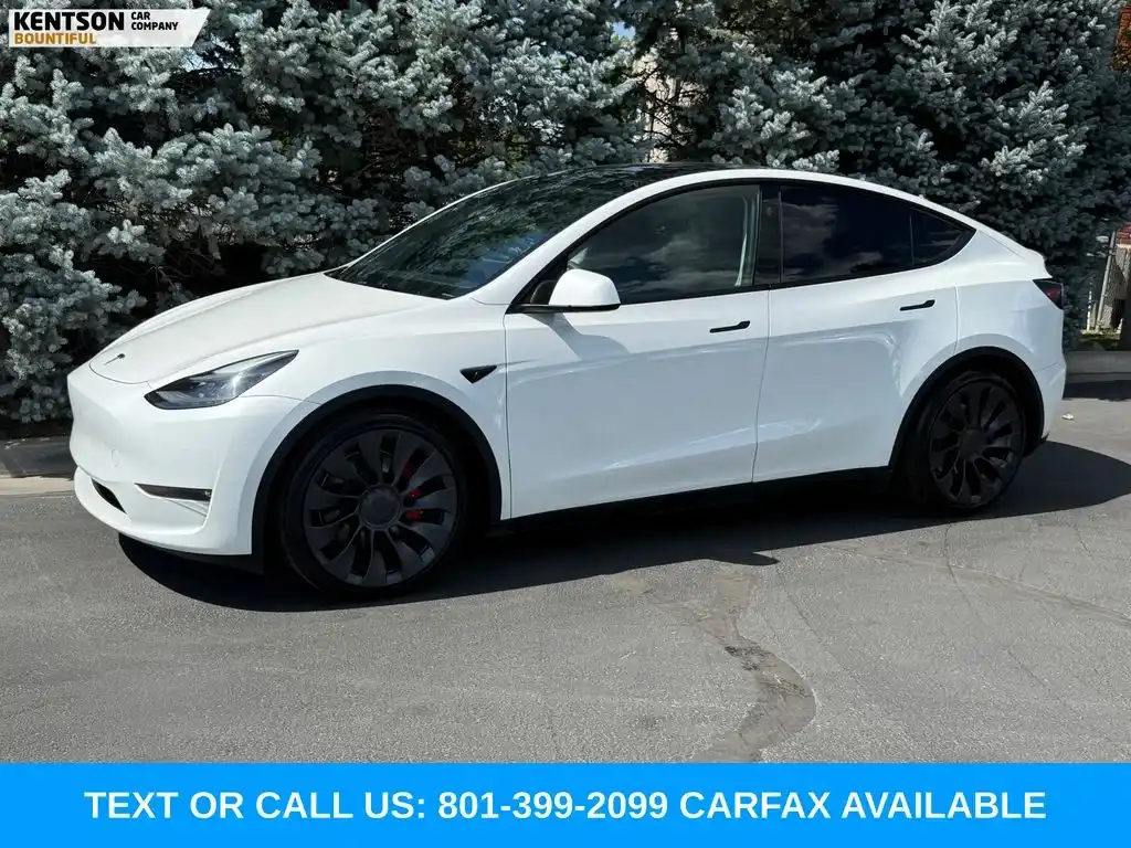 2024 Tesla Model Y Performance Dual Motor All-Wheel Drive's photo
