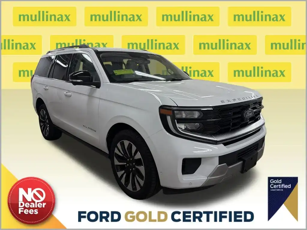 2025 Ford Expedition Platinum 4x4's photo