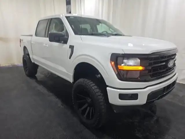 2025 Ford F-150 XLT 4x4 SuperCrew 5-1/2 Box's photo