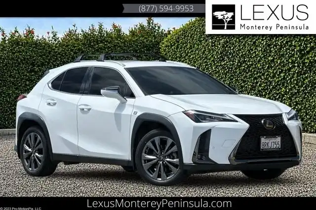 2020 Lexus UX 200 200 F Sport FWD's photo