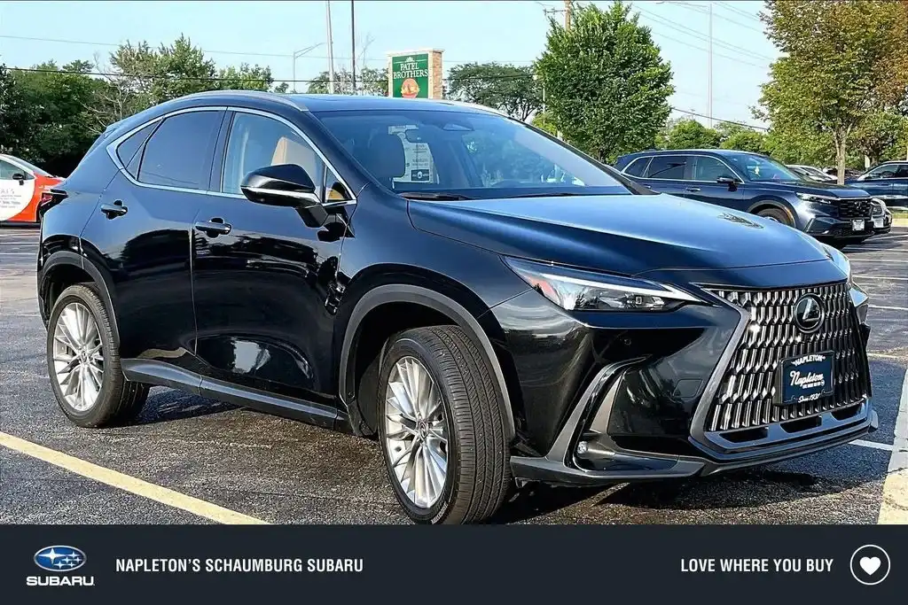 2025 Lexus NX 350 350 Premium AWD's photo