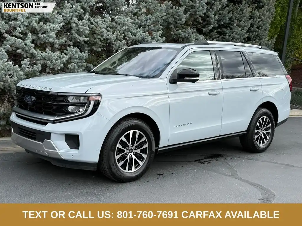 2025 Ford Expedition Platinum 4x4's photo