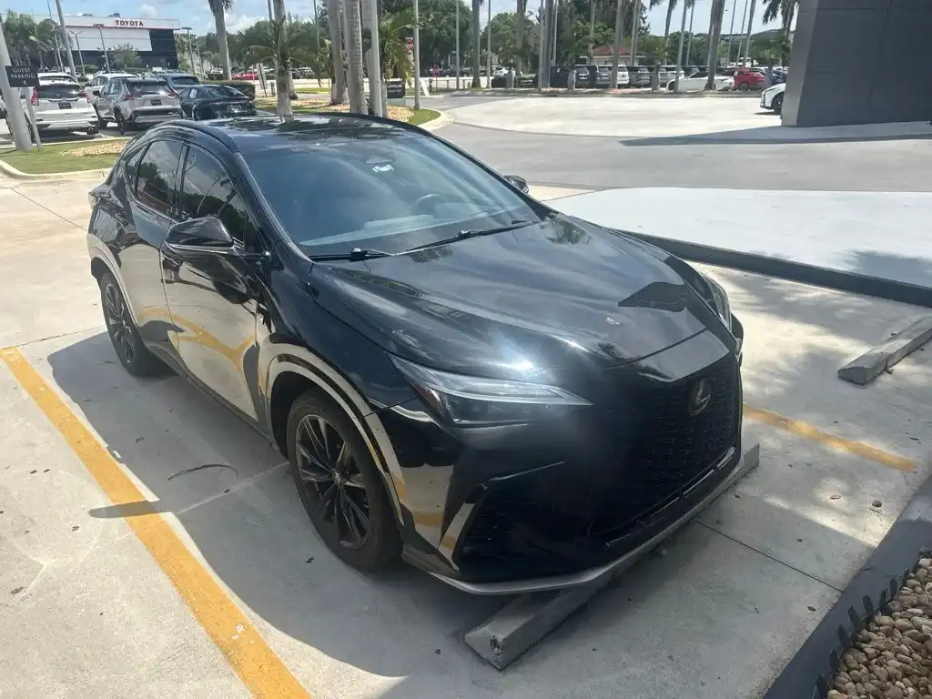 2024 Lexus NX 350 350 F-Sport AWD's photo