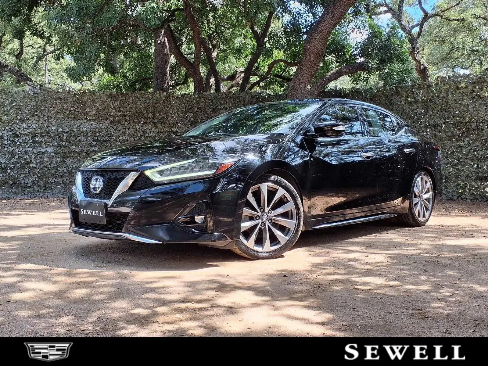 2020 Nissan Maxima Platinum's photo