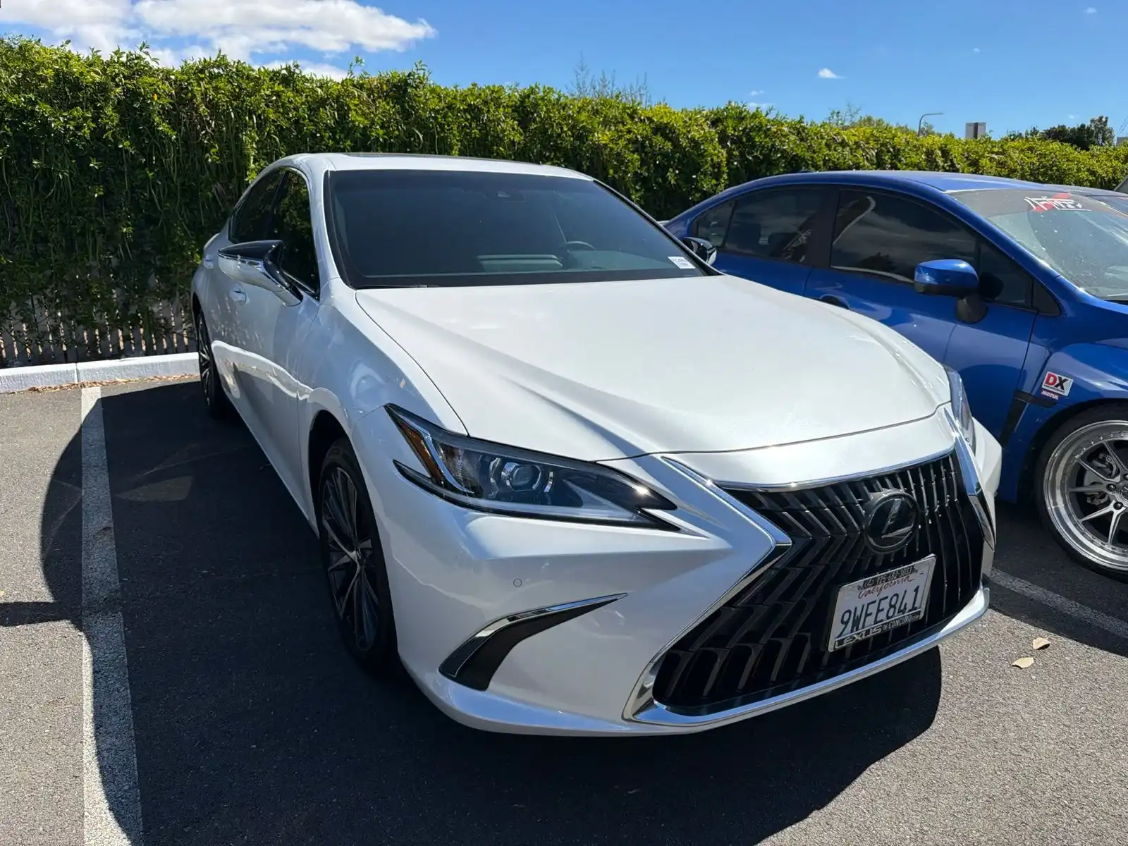 2025 Lexus ES 300h 300h's photo