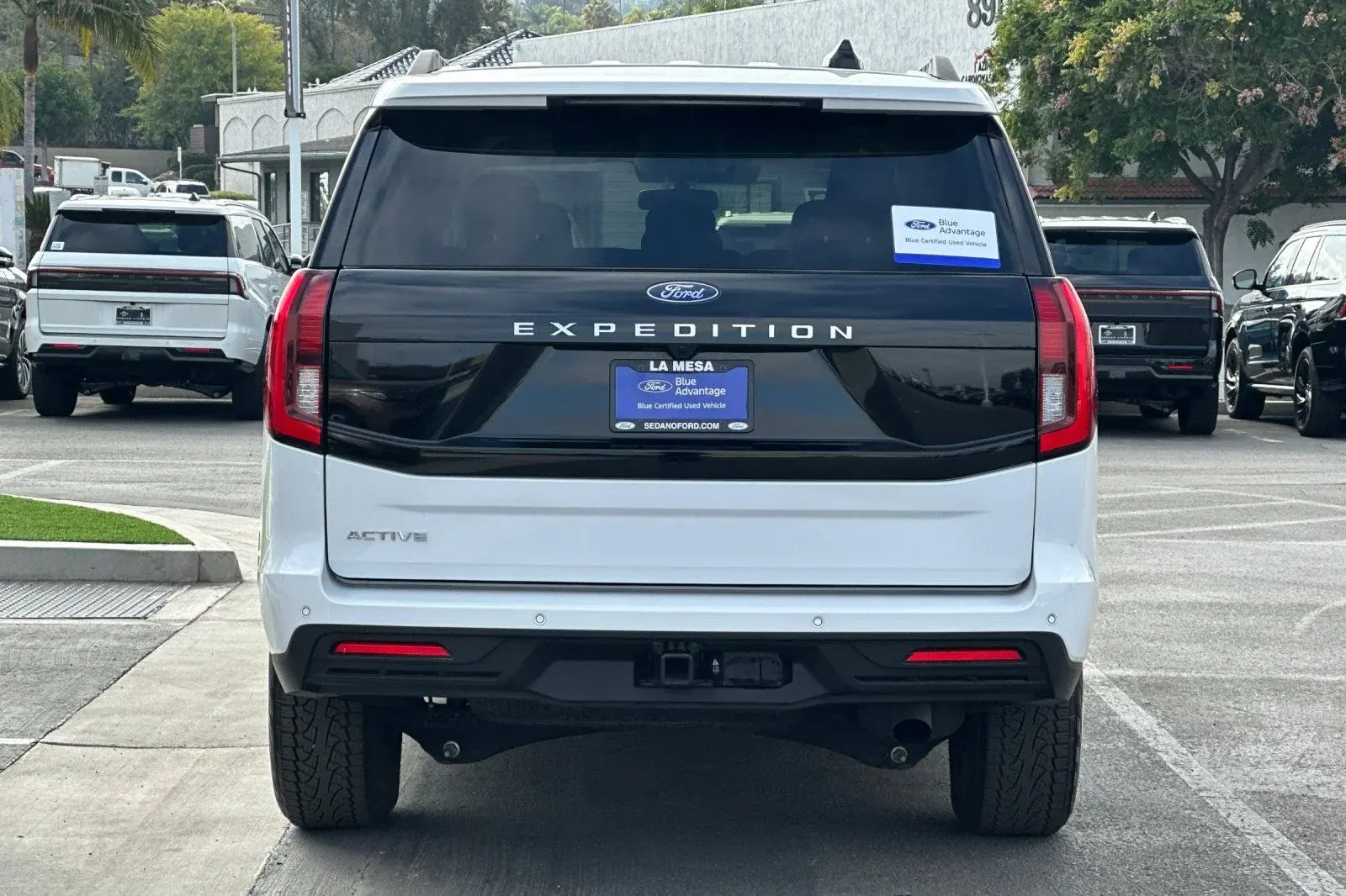 2025 Ford Expedition Active photo 4