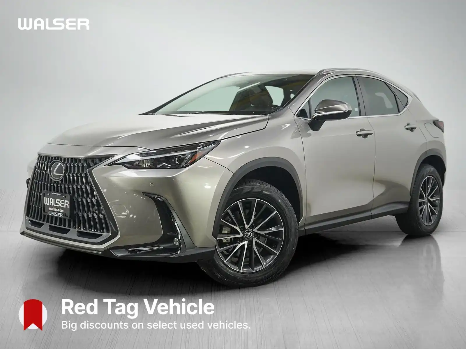 2024 Lexus NX 350h 350h Premium AWD's photo