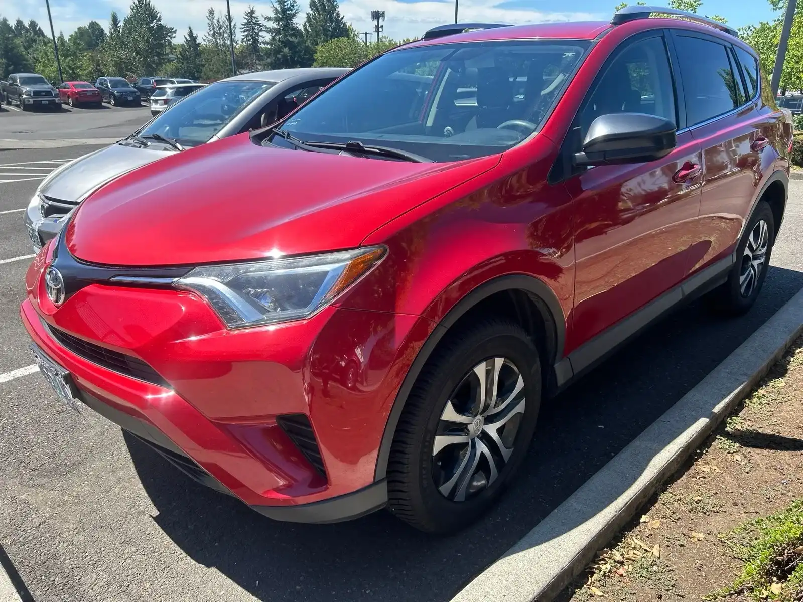 2016 Toyota RAV4 LE AWD's photo