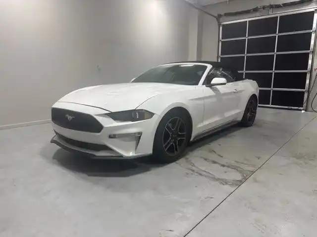 2020 Ford Mustang EcoBoost Premium Convertible's photo