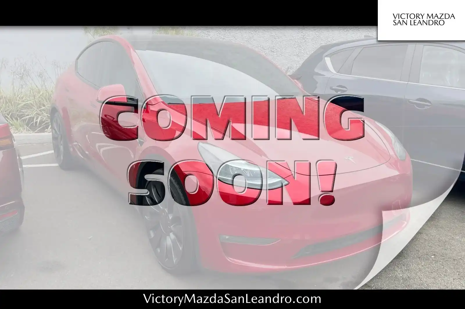 2023 Tesla Model Y Performance Dual Motor All-Wheel Drive's photo