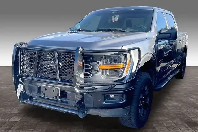 2024 Ford F-150 STX 4x4 SuperCrew 5-1/2 Box's photo