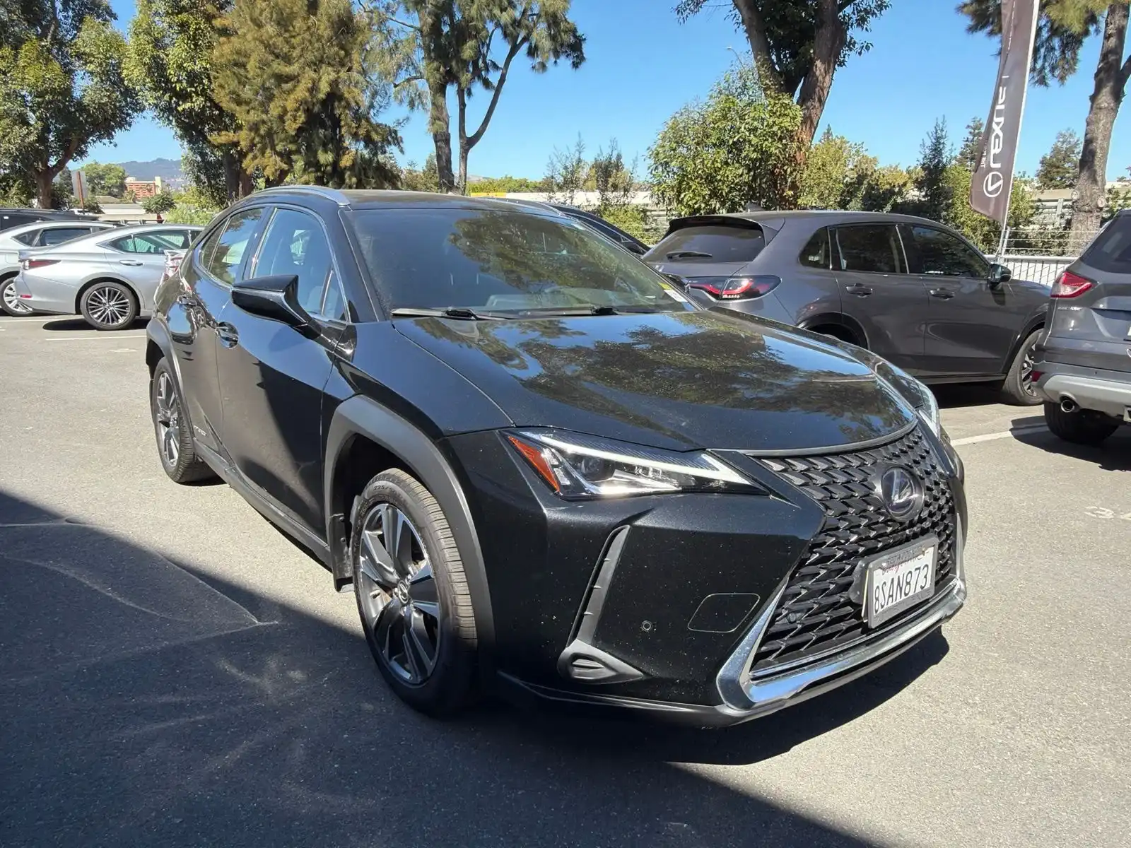2020 Lexus UX 300h 250h AWD's photo