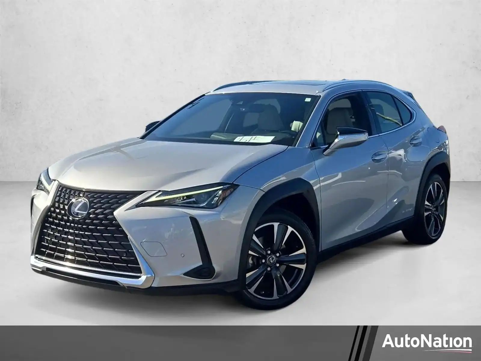 2019 Lexus UX 300h 250h AWD's photo