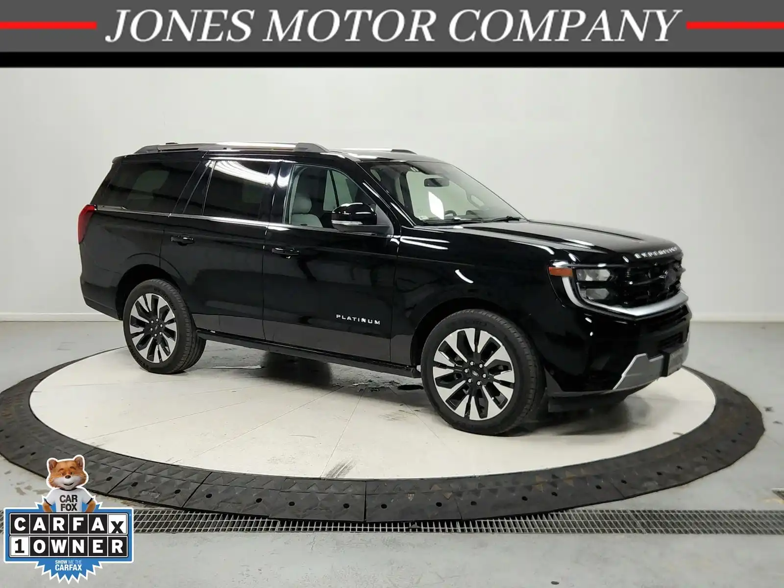 2025 Ford Expedition Platinum 4x4's photo