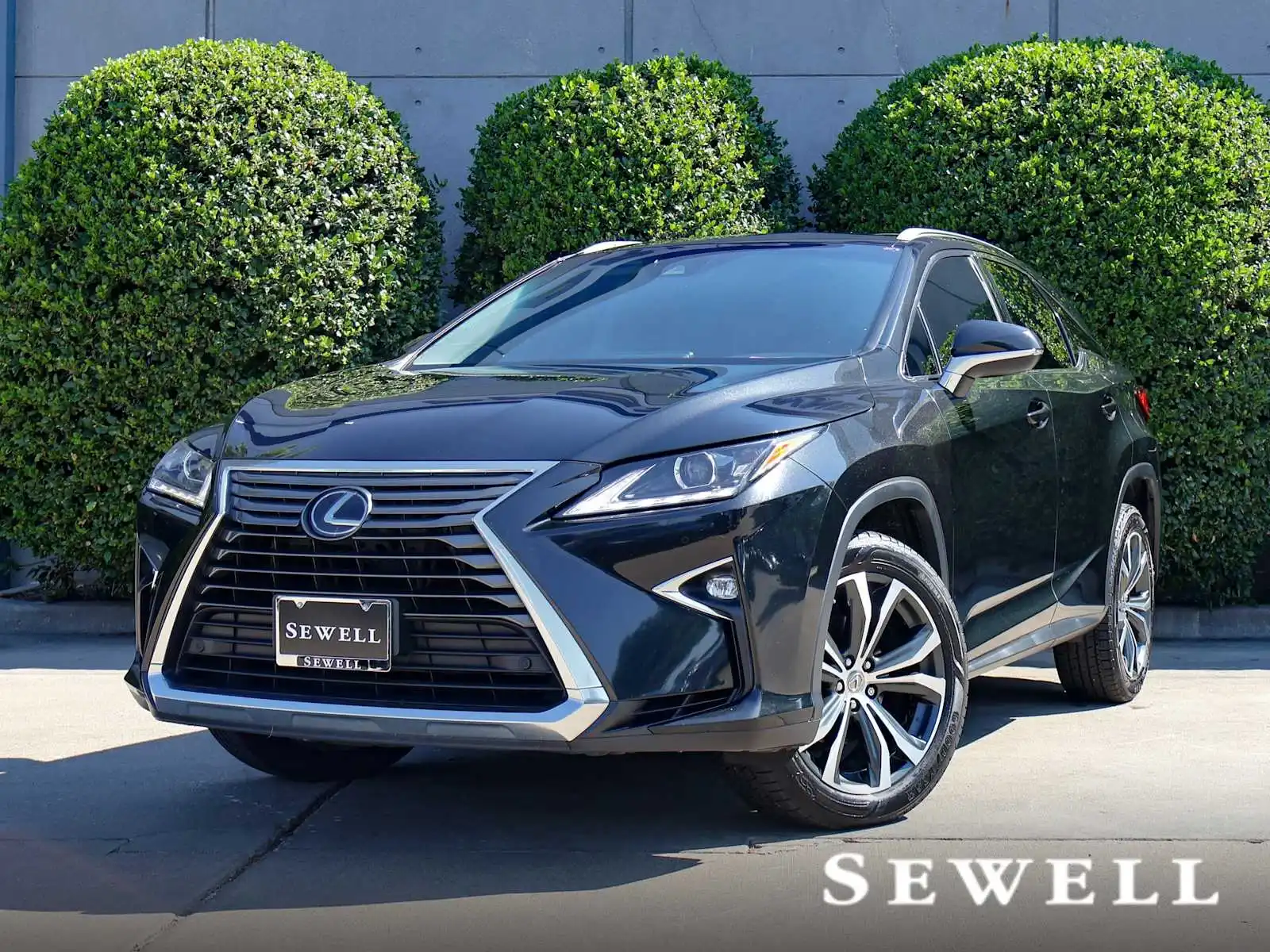 2017 Lexus RX 350 350 2WD's photo
