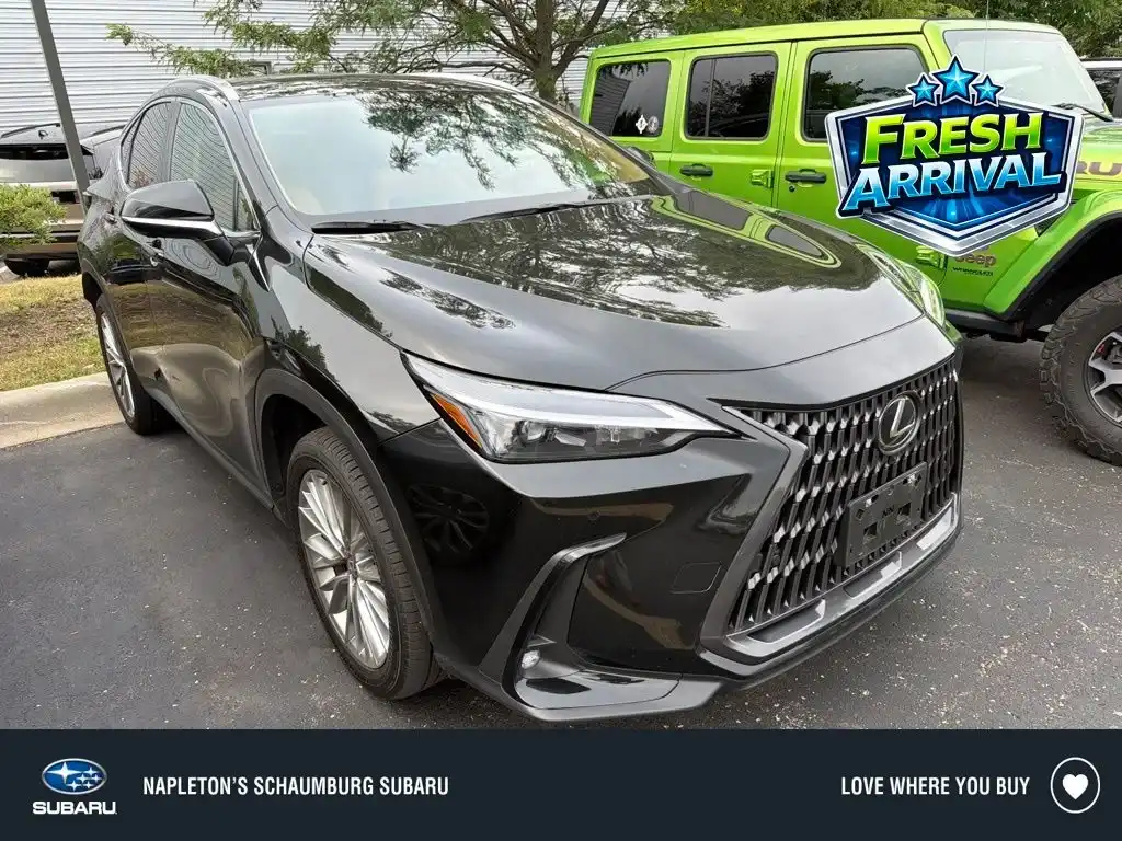 2025 Lexus NX 350 350 Premium AWD's photo