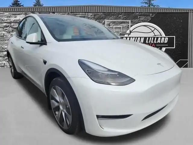 2023 Tesla Model Y Long Range Dual Motor All-Wheel Drive's photo